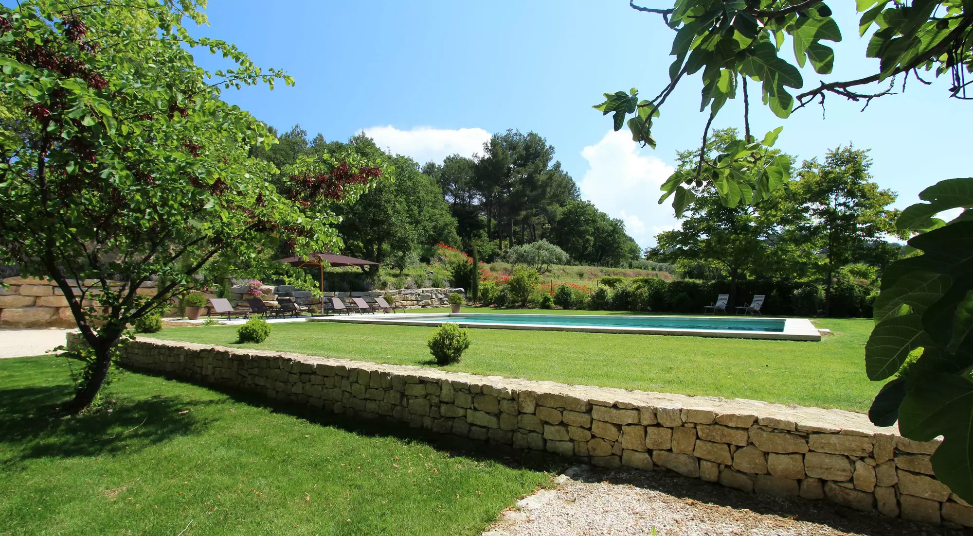 A Provencal garden...