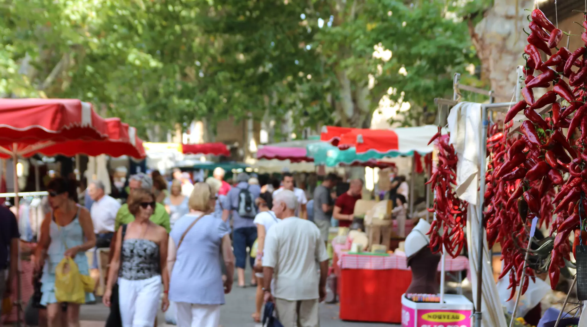 A 5-minute walk from the village and its famous market