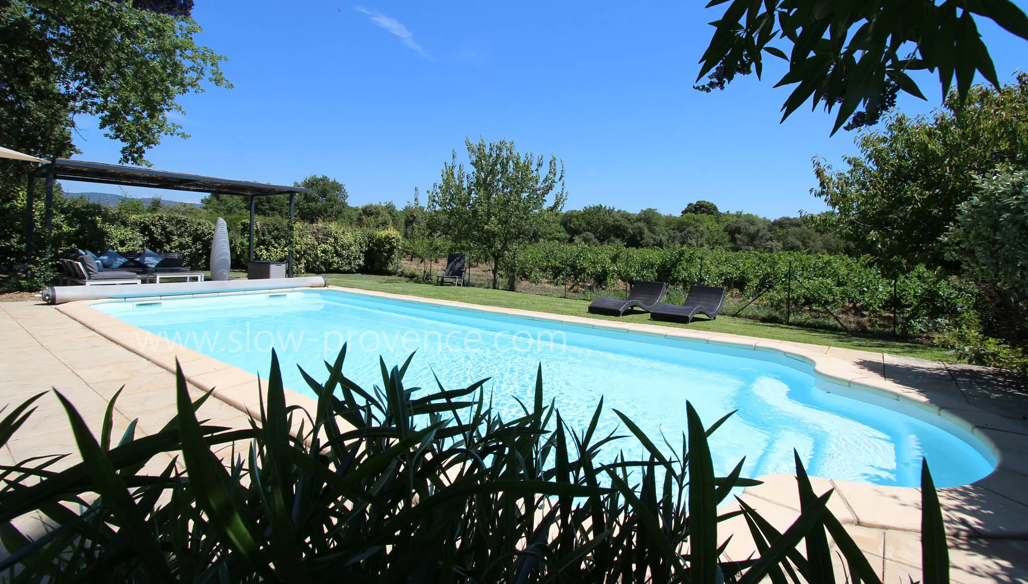 Fenced pool perfect for families