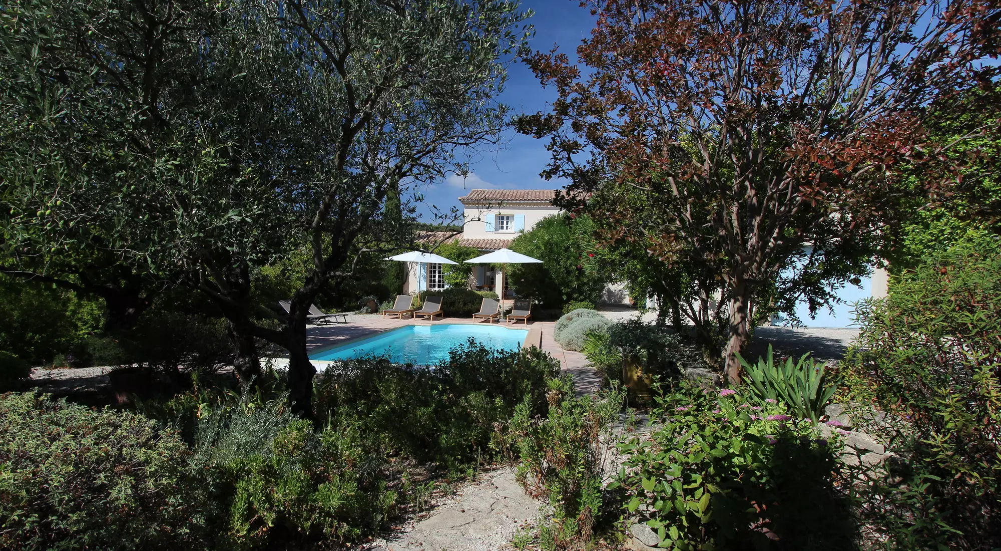 A large garden with fruit trees