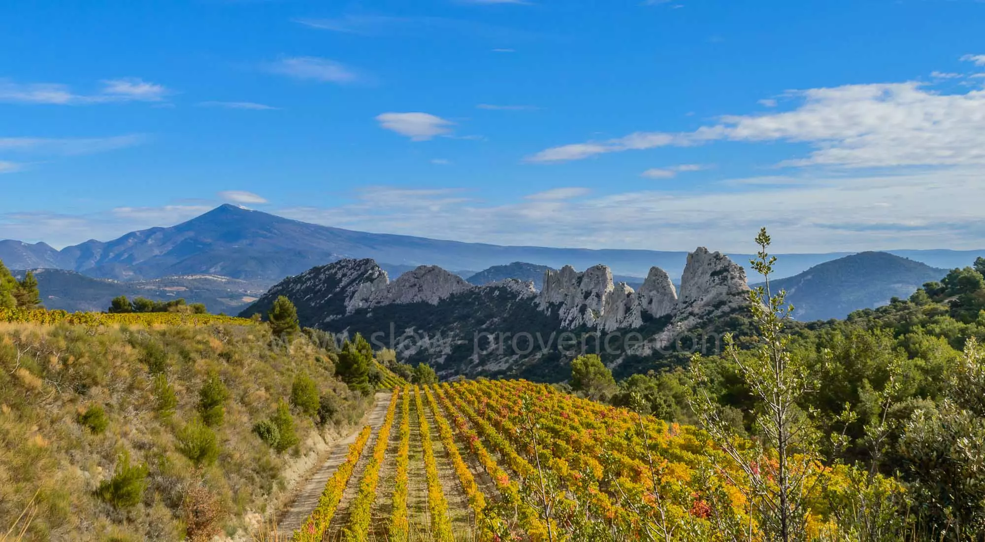 Dentelles de Montmirail & Mont Ventoux