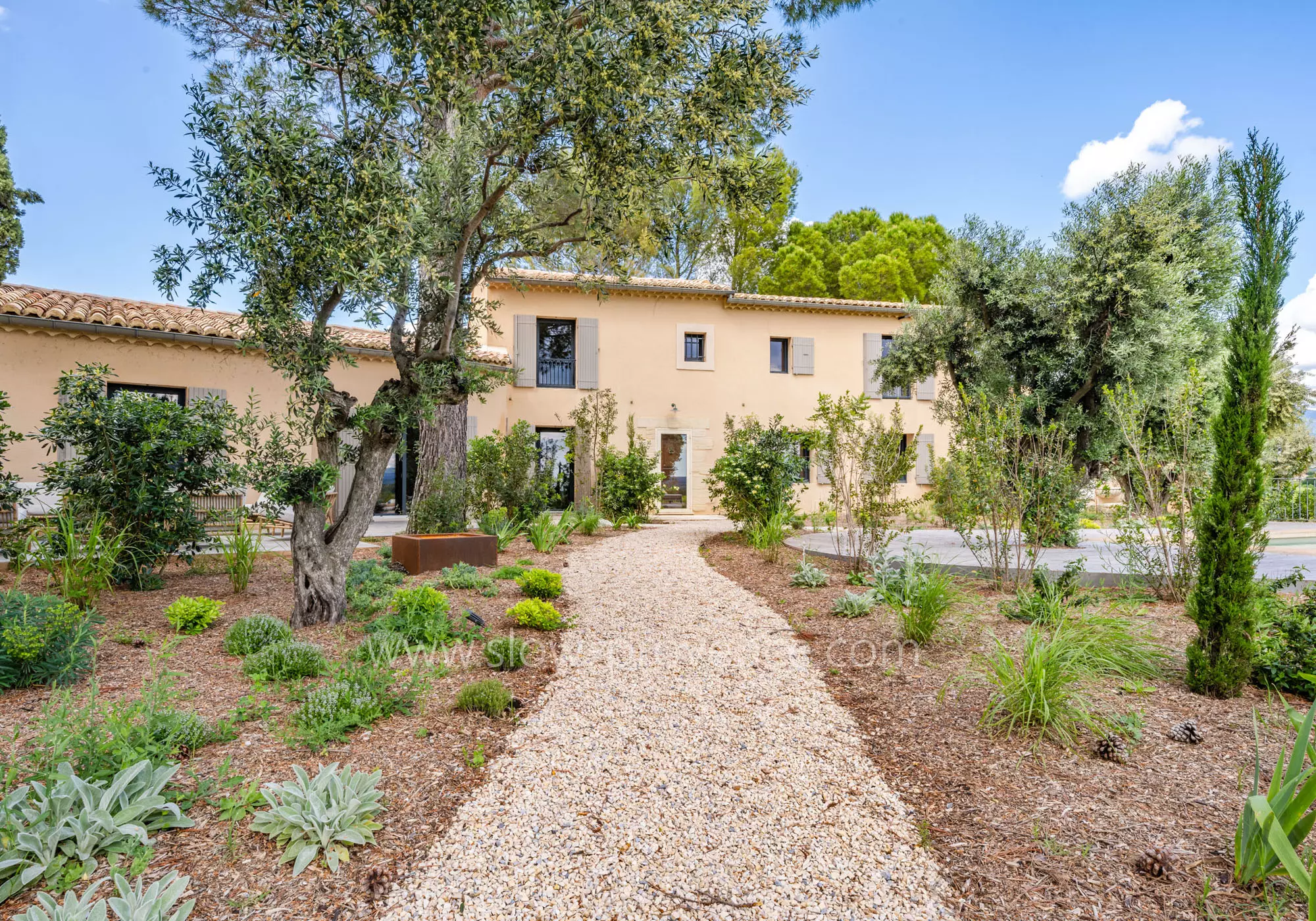 Enclosed garden planted with pine trees