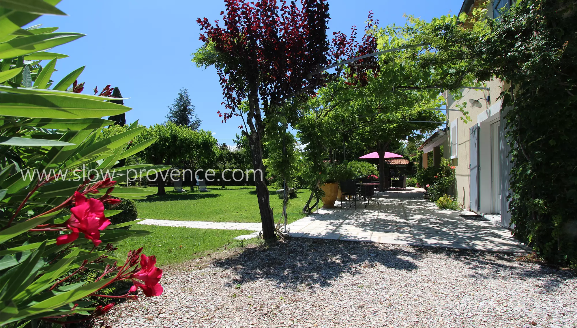 Shaded terrace by an arbour