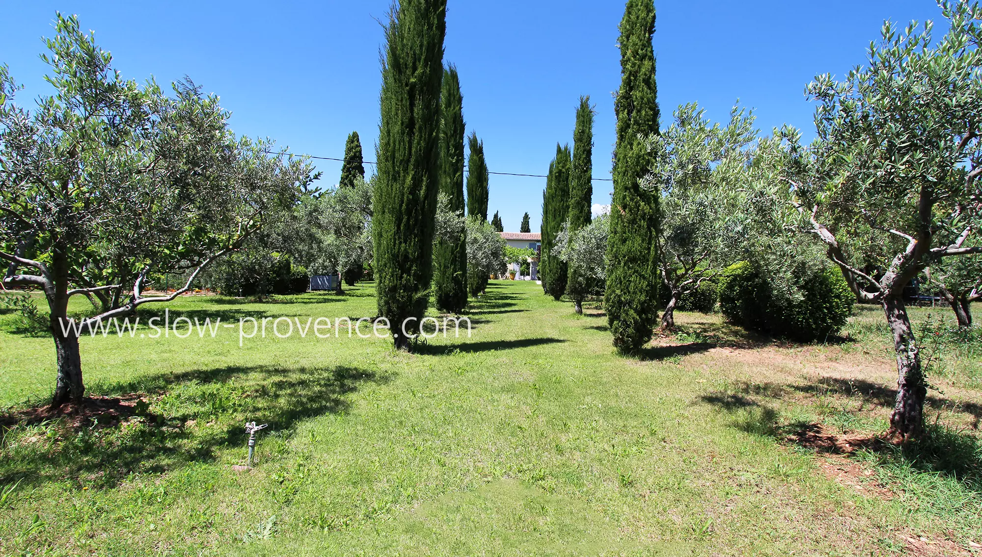 Large garden