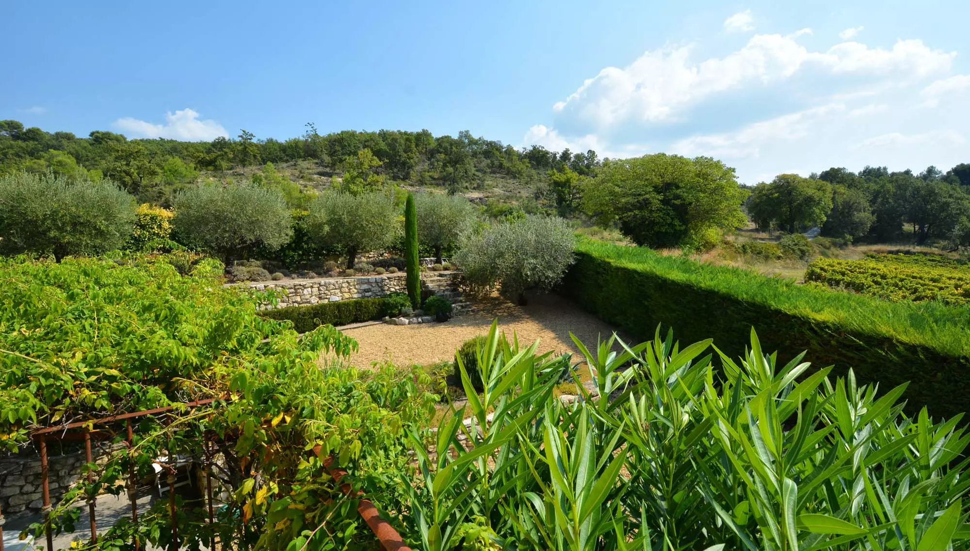 Beautiful view on the vineyards