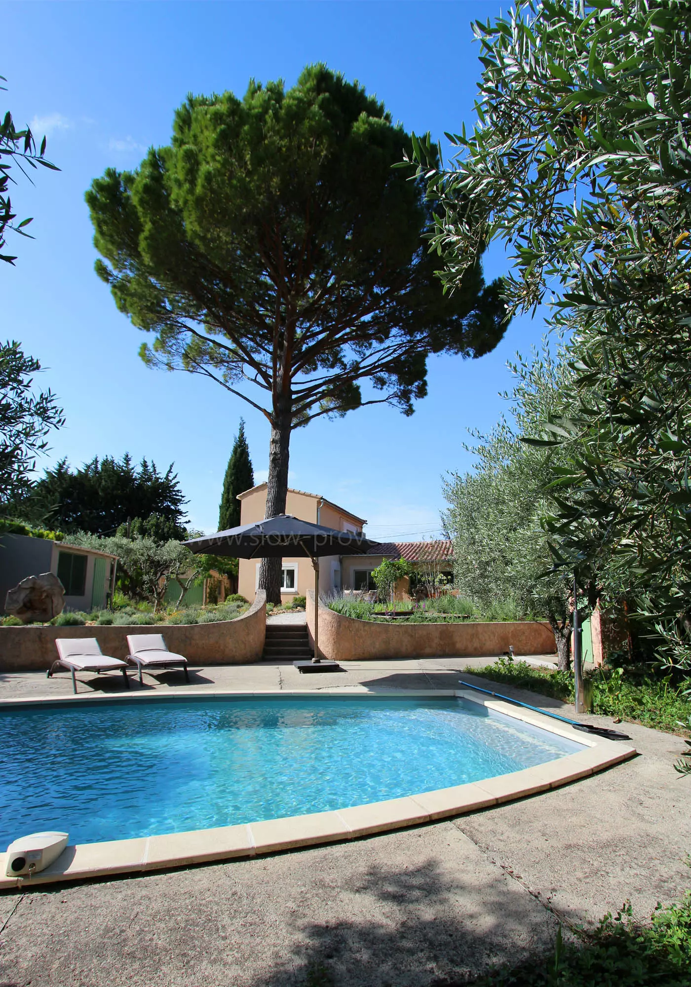 Private swimming pool surrounded by pine trees