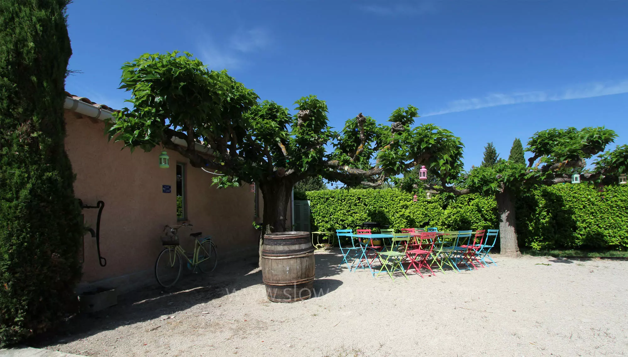 Terrace under the trees