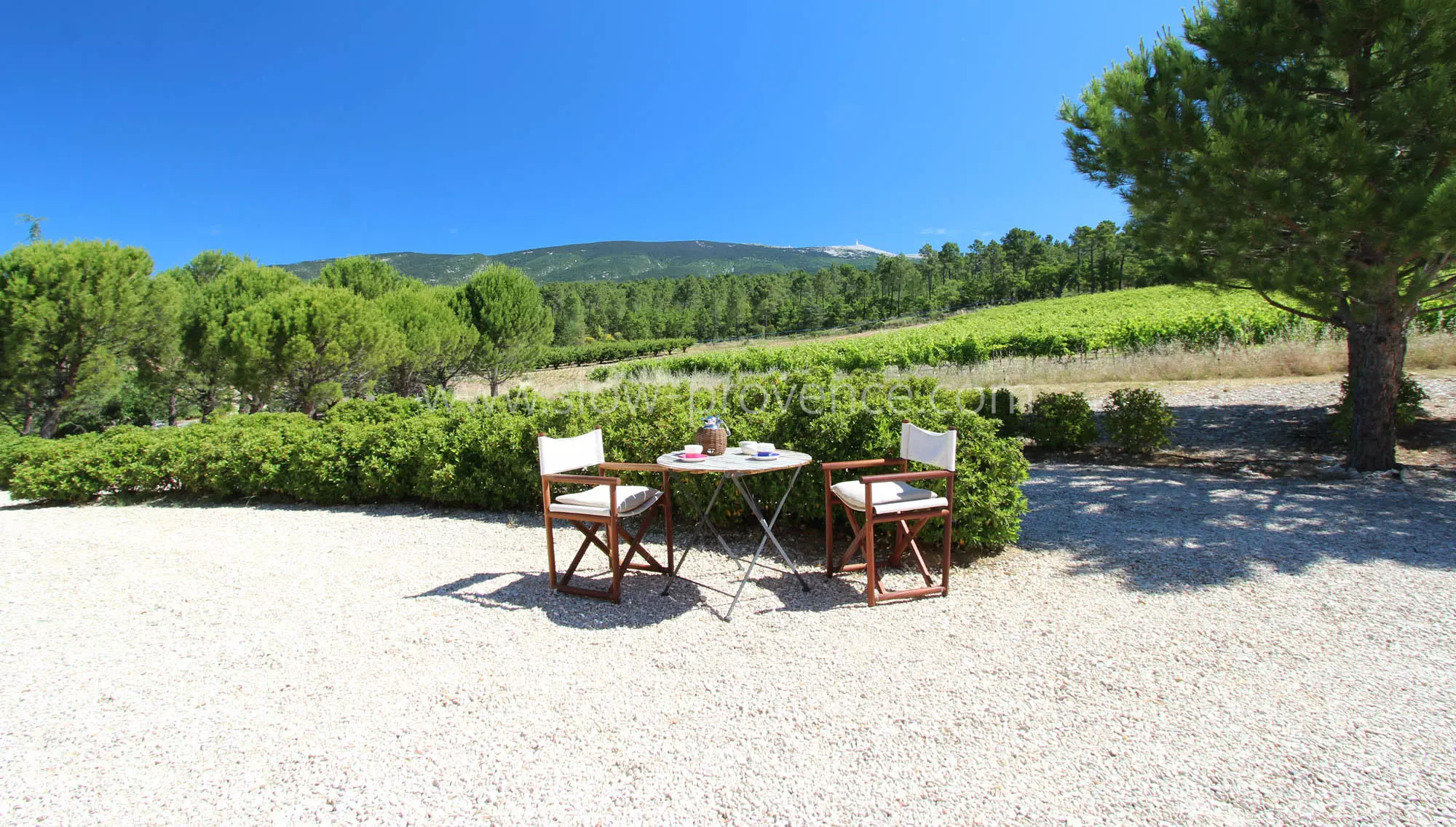 Mont-Ventoux view