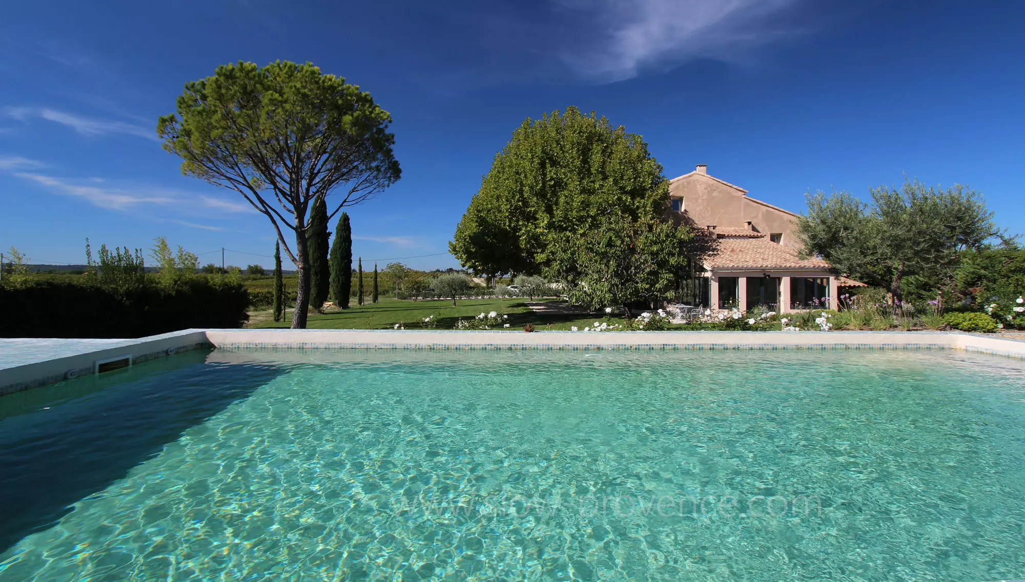 Swimming-pool with garden view