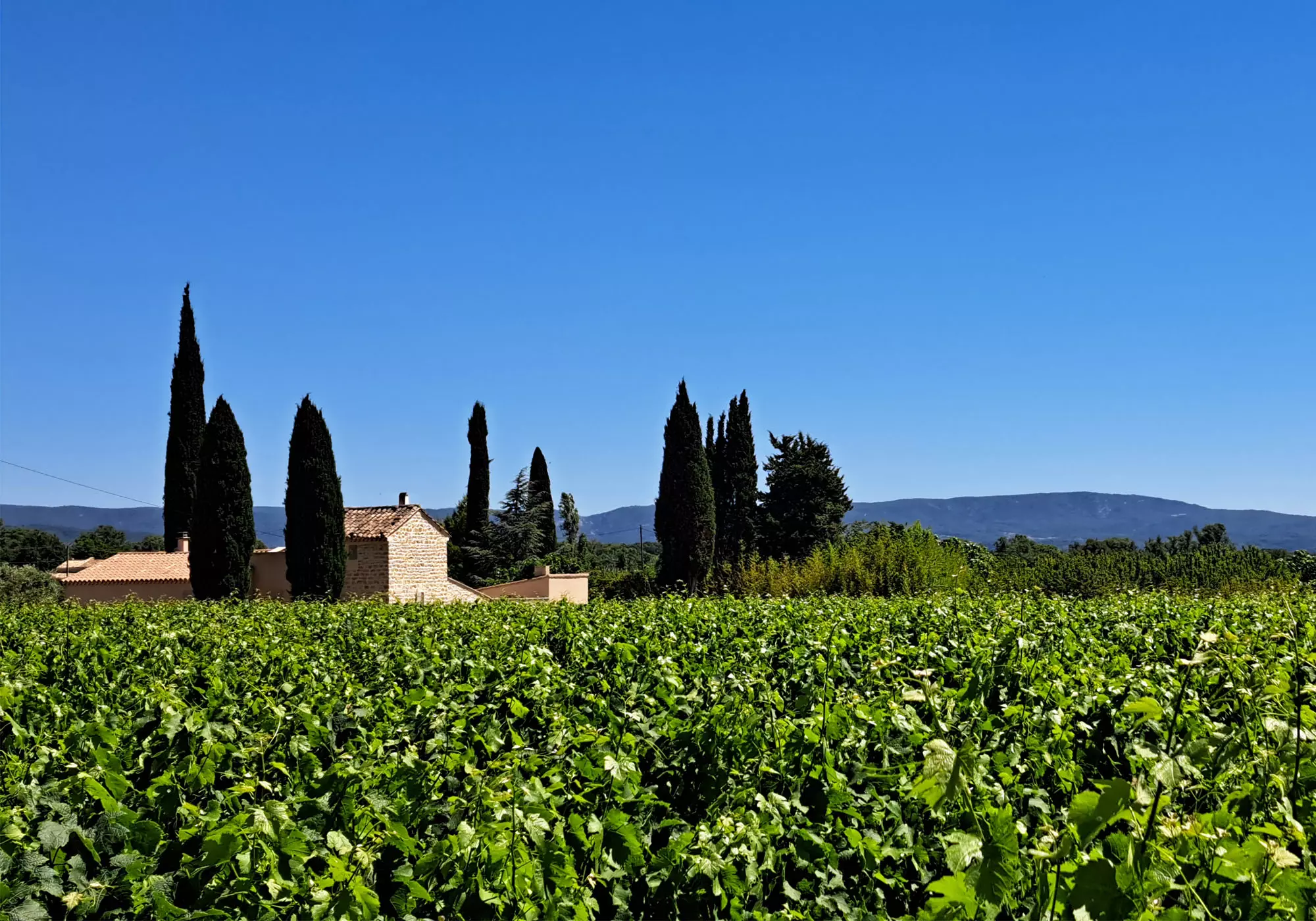 Ambiance provençale