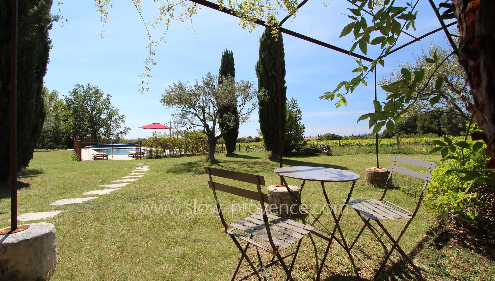 Garden planted with vines and olive trees