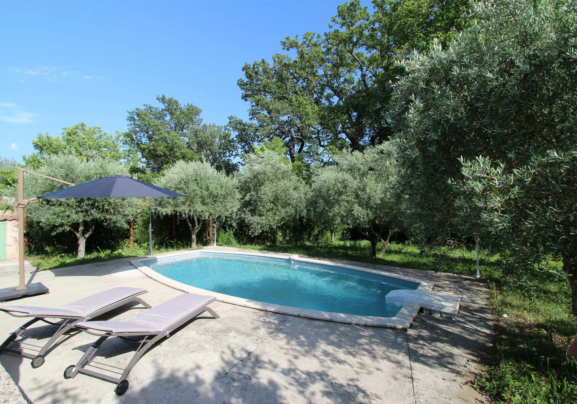 Swimming pool area