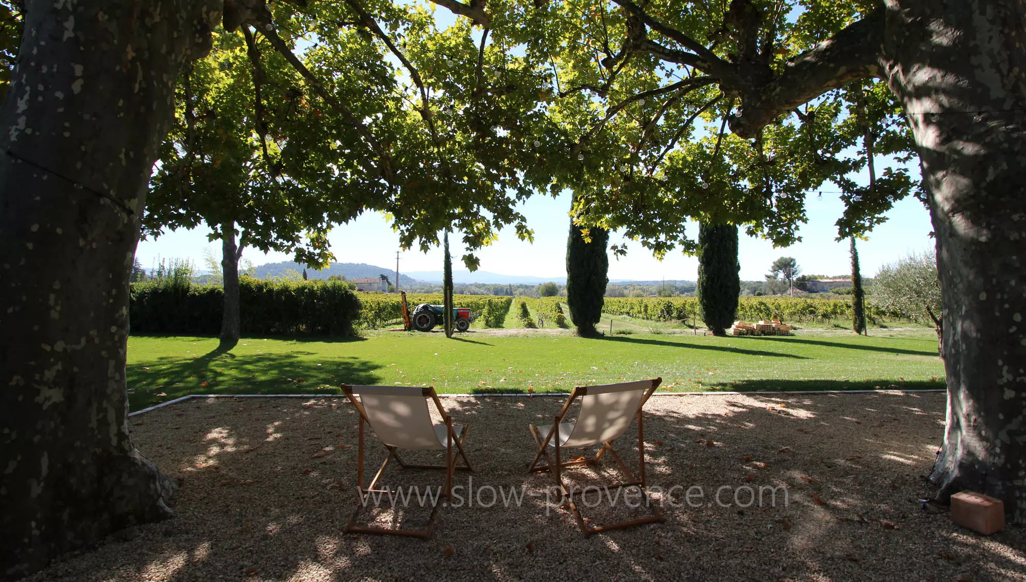 Surrounded with vineyards