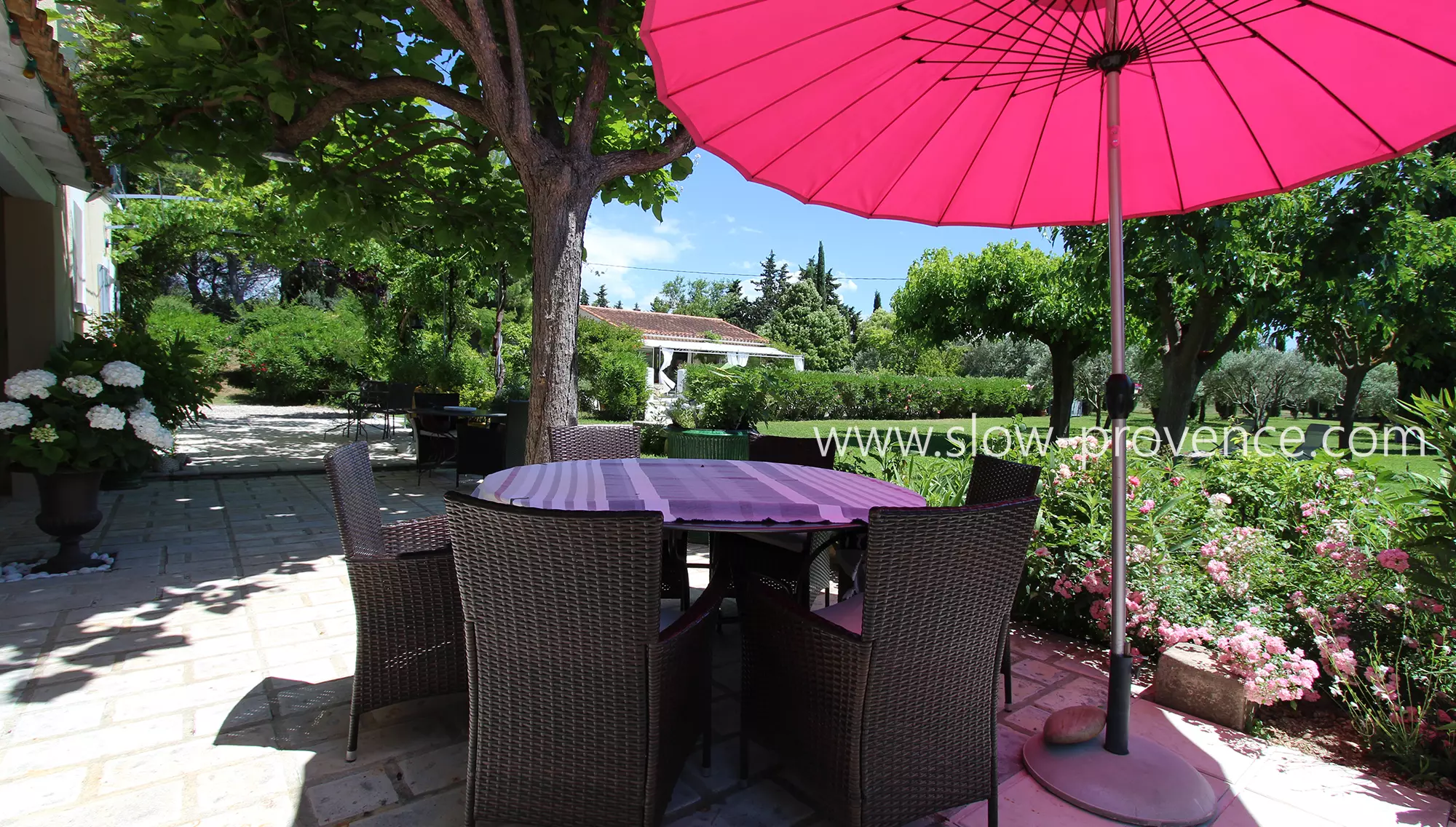 Beautiful shaded terrace