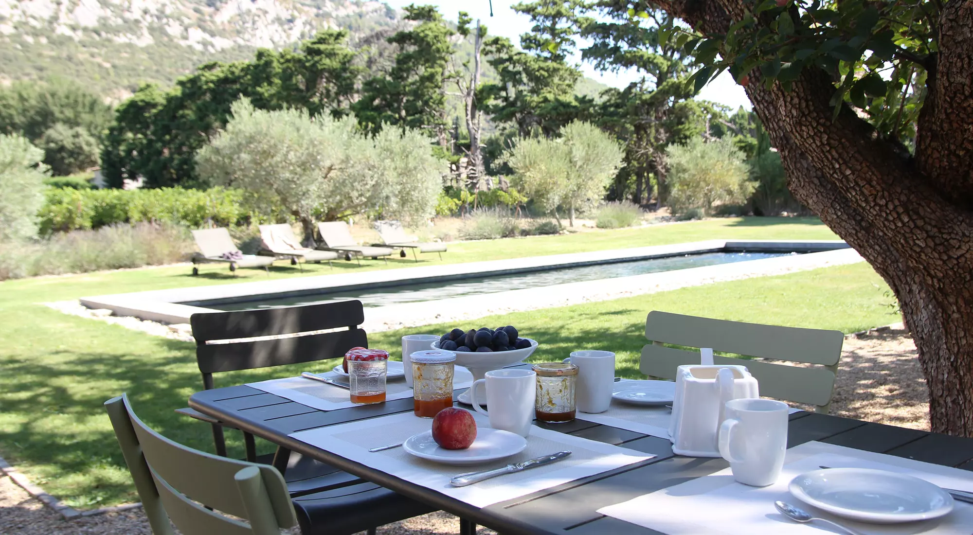 Breakfast under the tree...