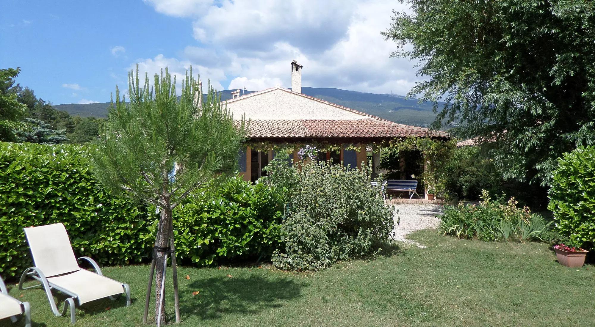 Mount Ventoux in the background