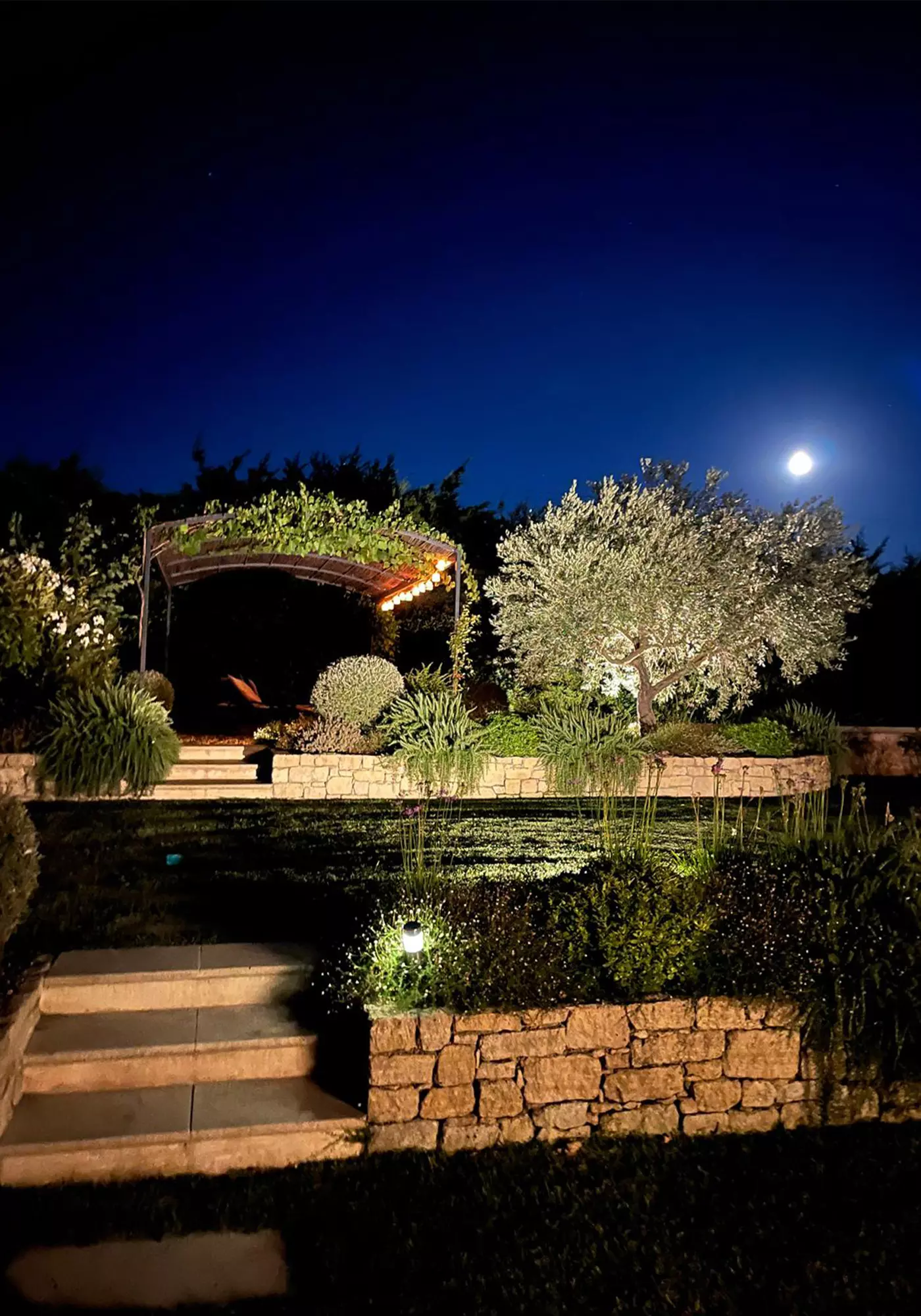 Illuminated garden for late-night enjoyment