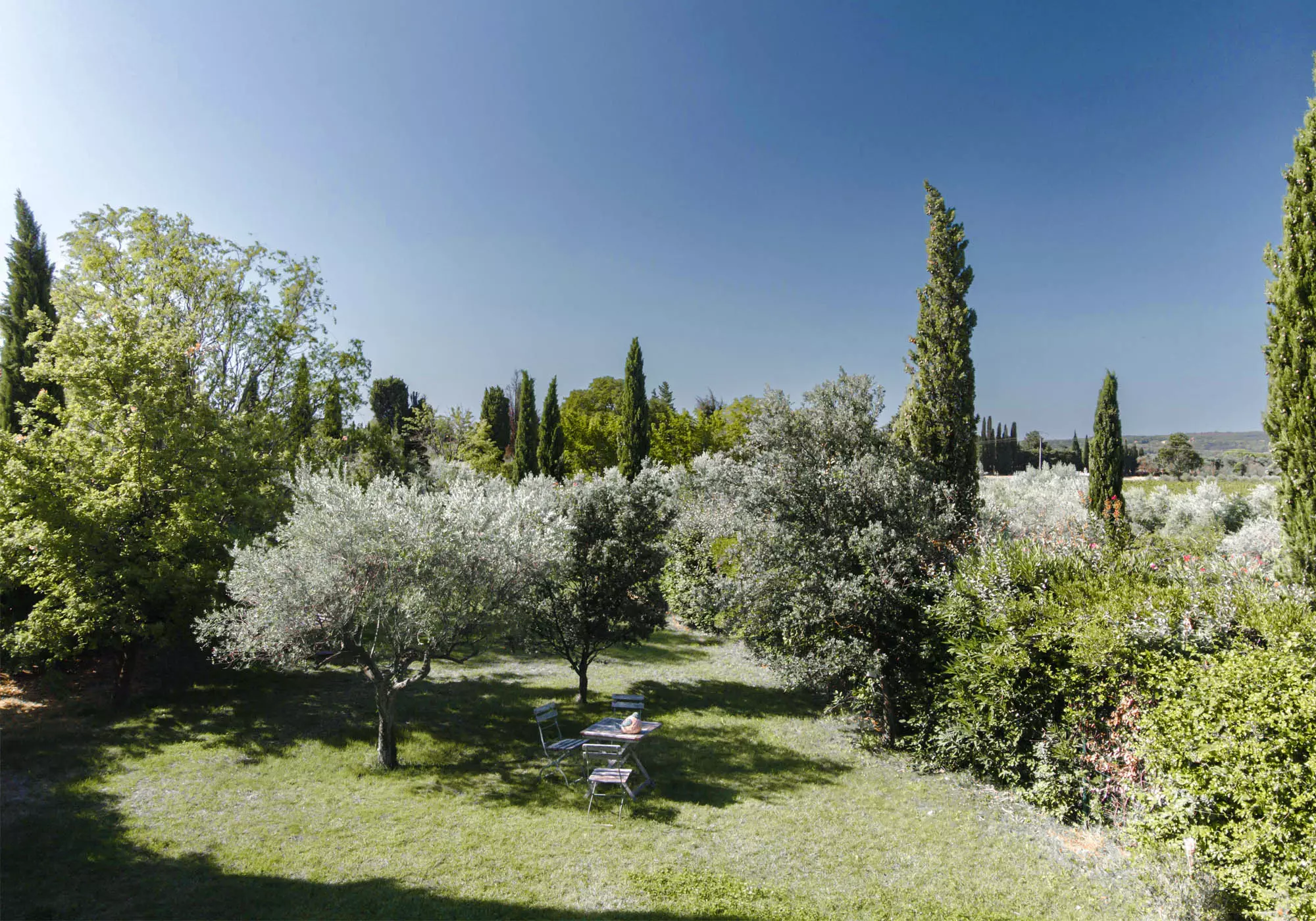 Mediterranean vegetation