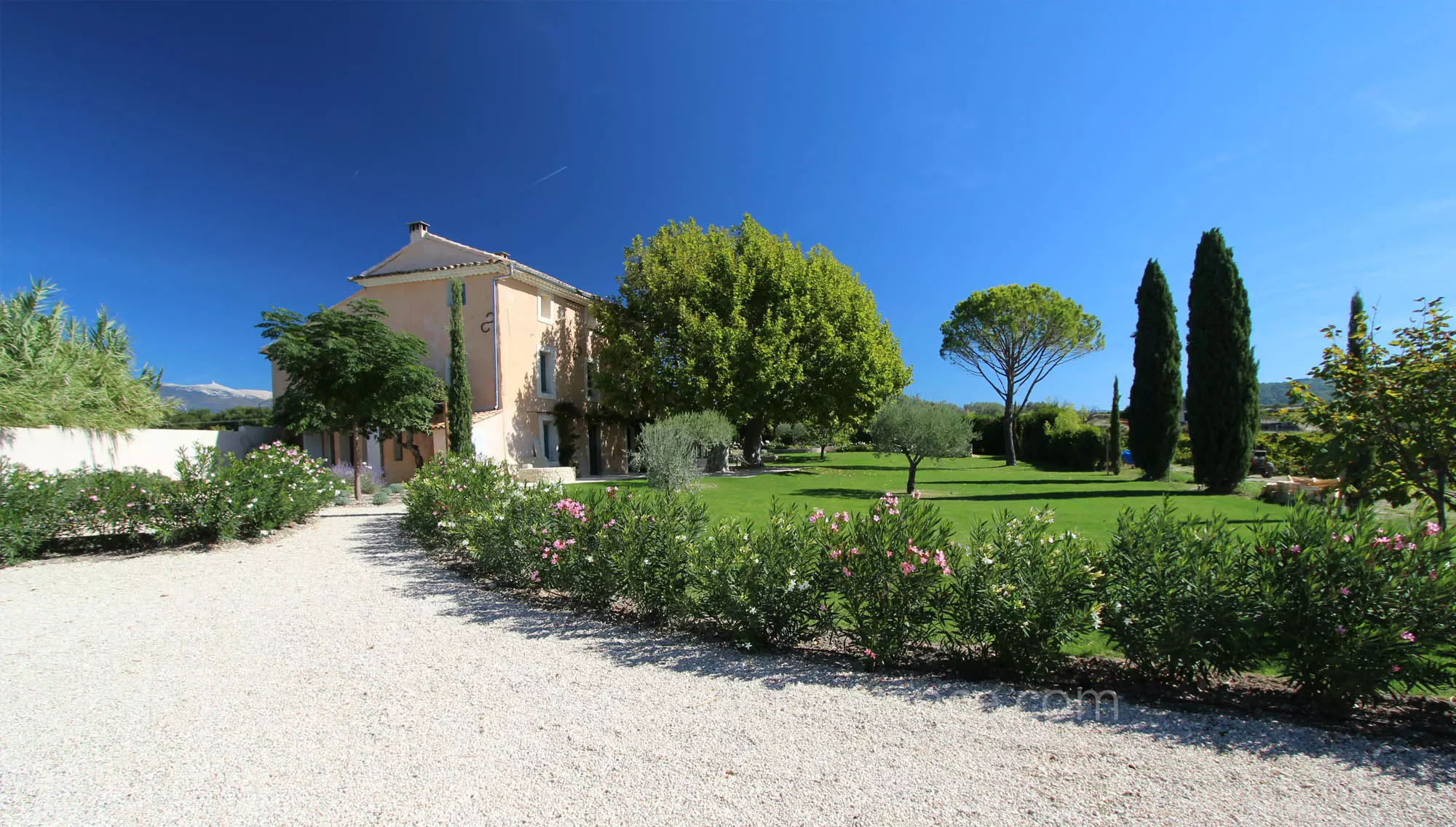 Provencal country home with large garden