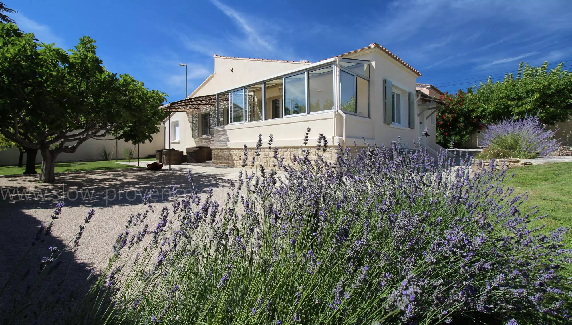 Lavender and Petanque