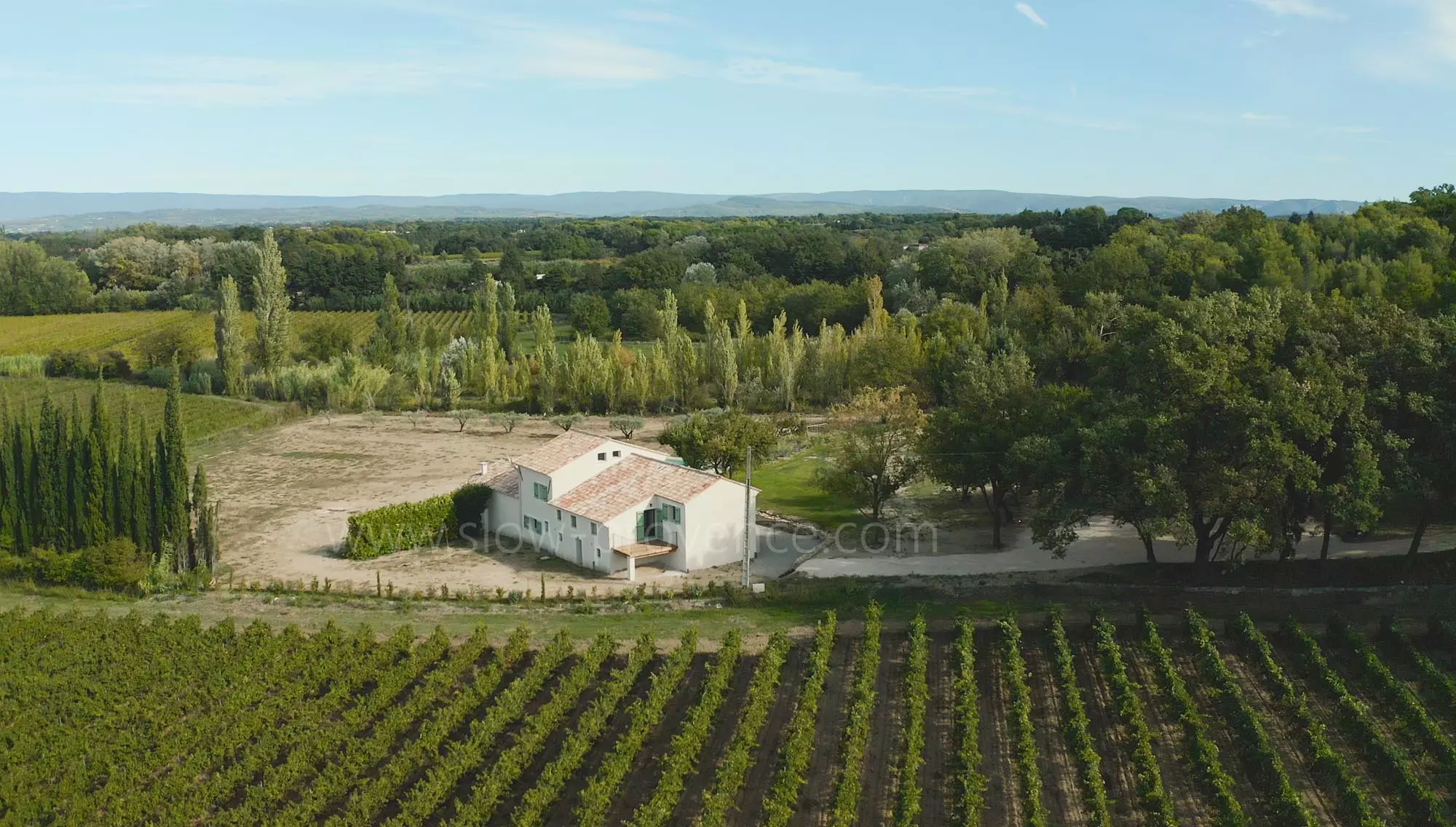 Surrounded by vineyards, no neighbours around