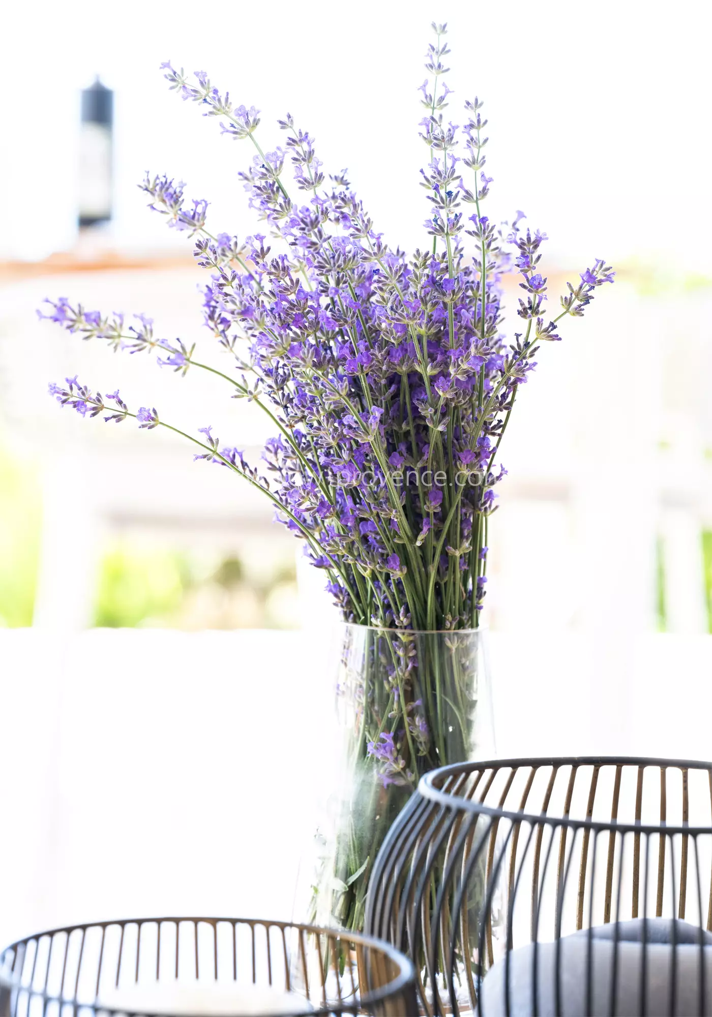 Bunch of lavender from the garden