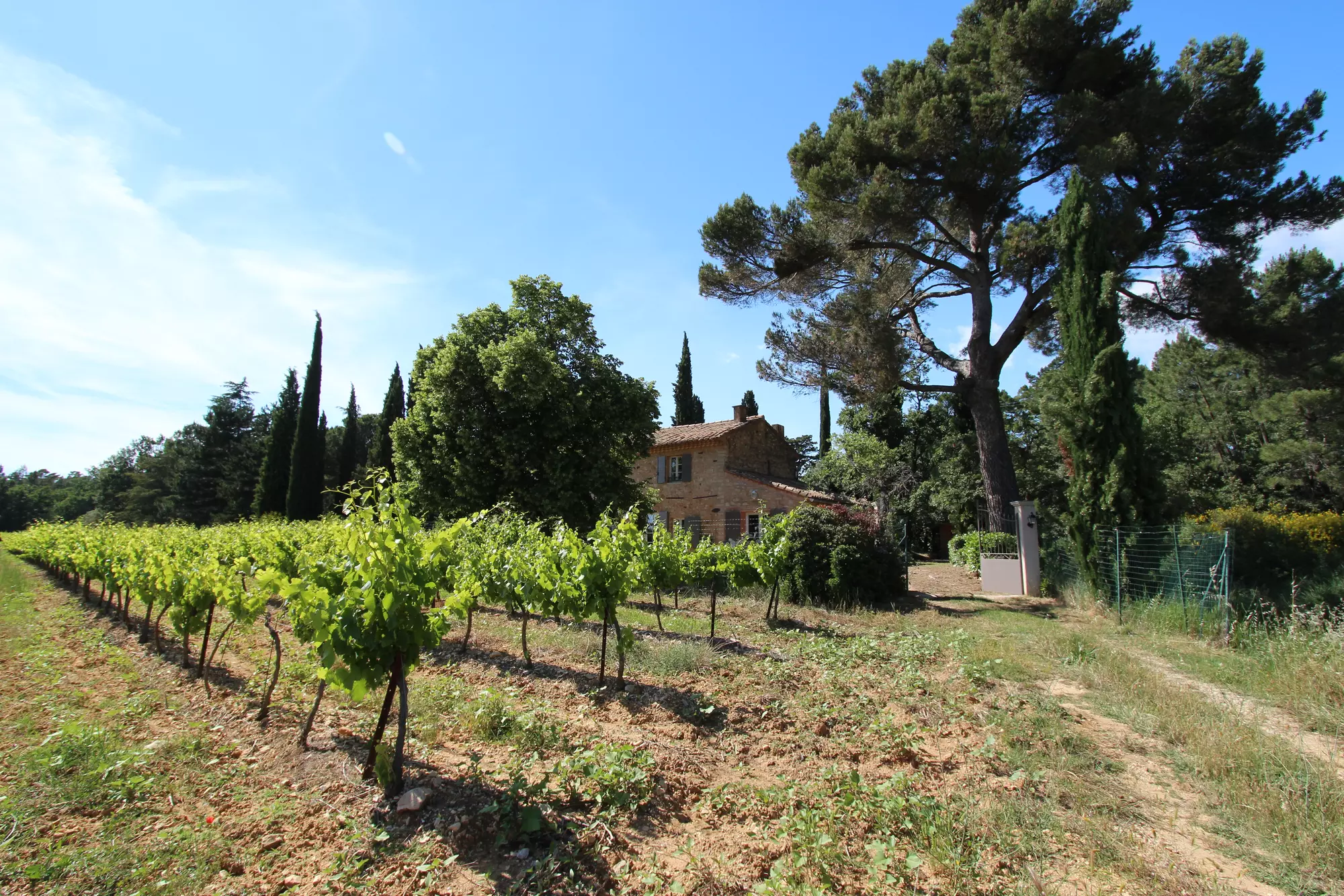 Mas de Charlotte, mas de charme entouré de vignes tout près du village de Bedoin, Mont Ventoux