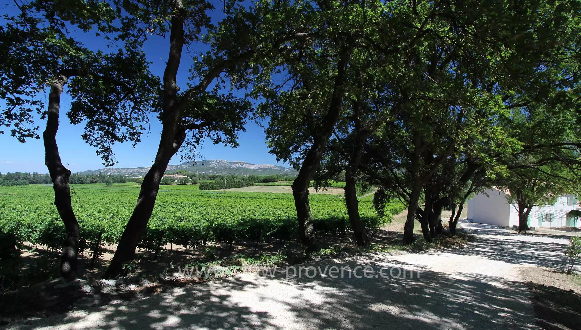 Property entrance, amidst vineyards