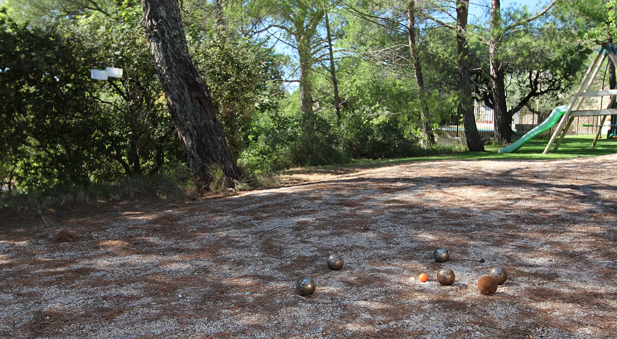 Petanque under the pine trees