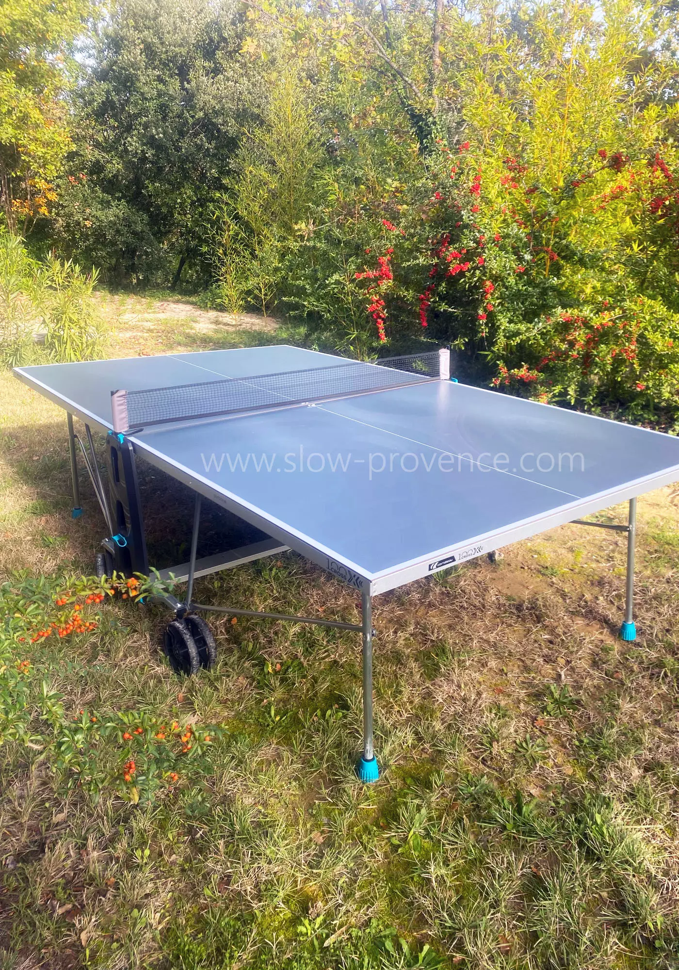 Table de ping-pong