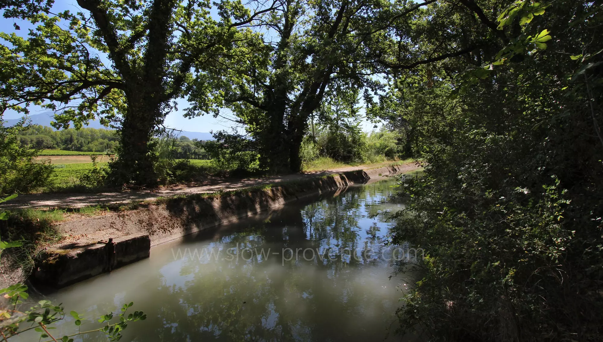 River at 50m from the property