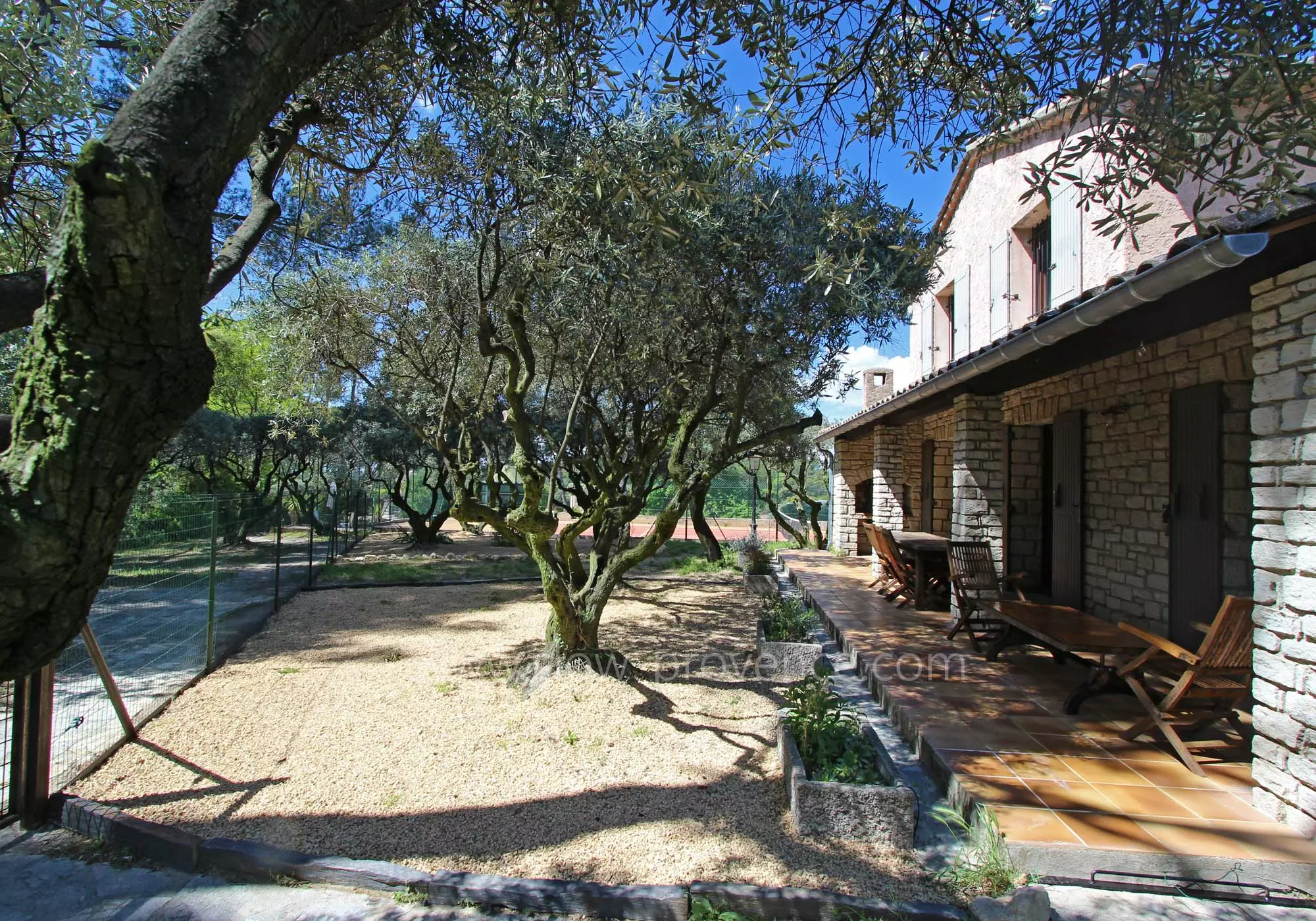 The terrace overlooking the olive trees
