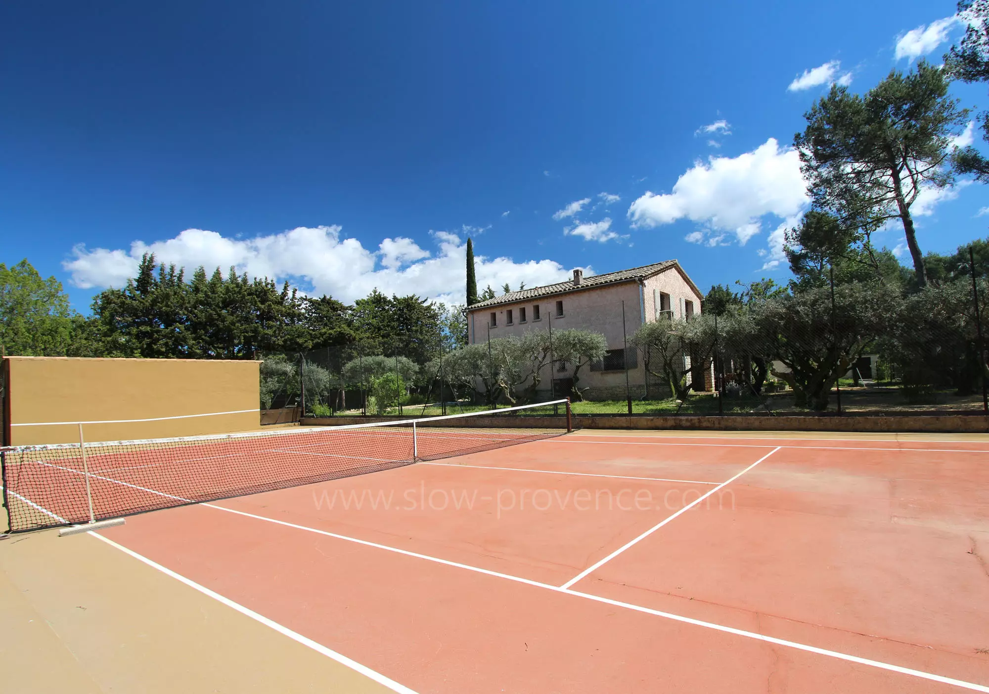 The tennis court surrounded by olive trees