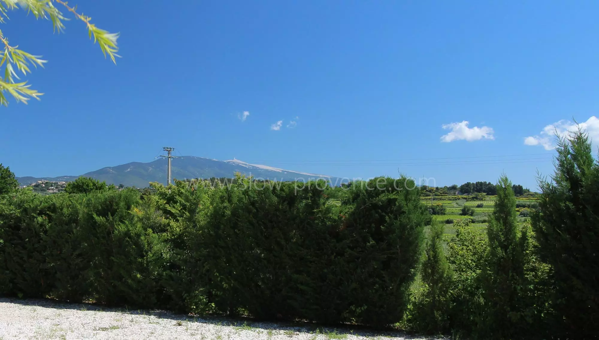 Mont Ventoux view