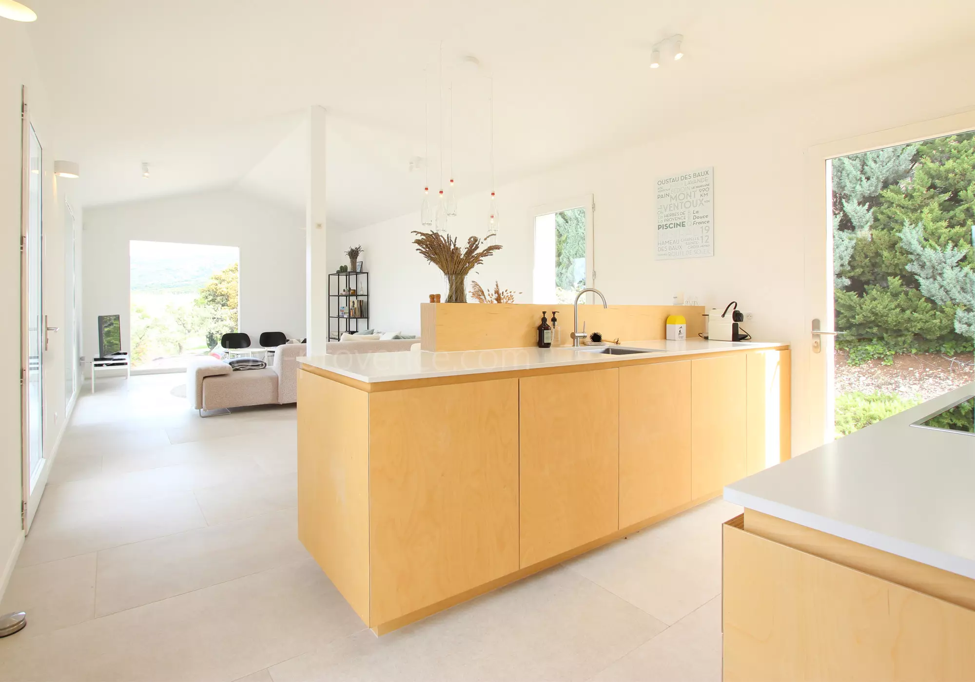 A sun-bathed living room