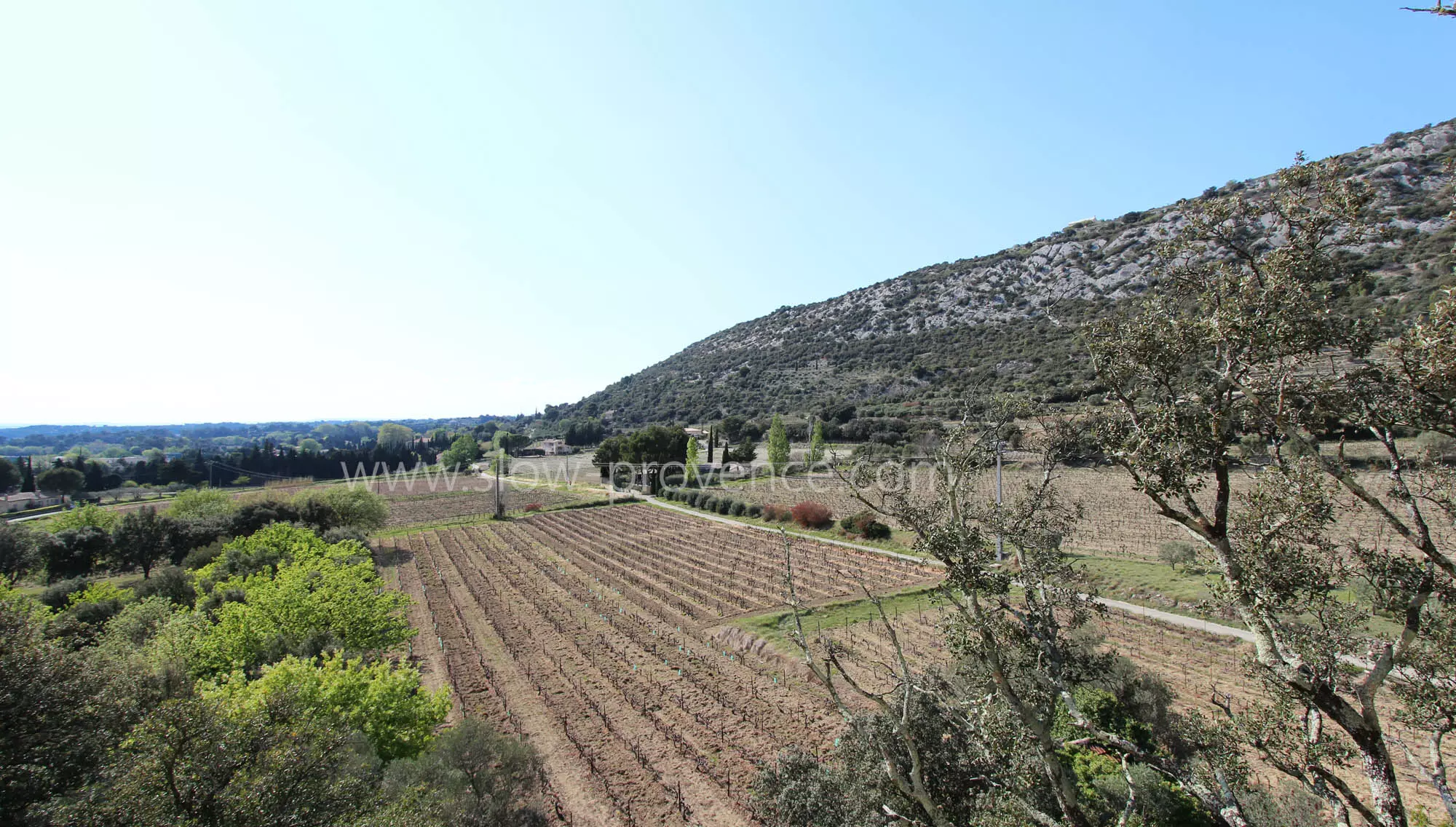 View on Notre Dame d'Aubune