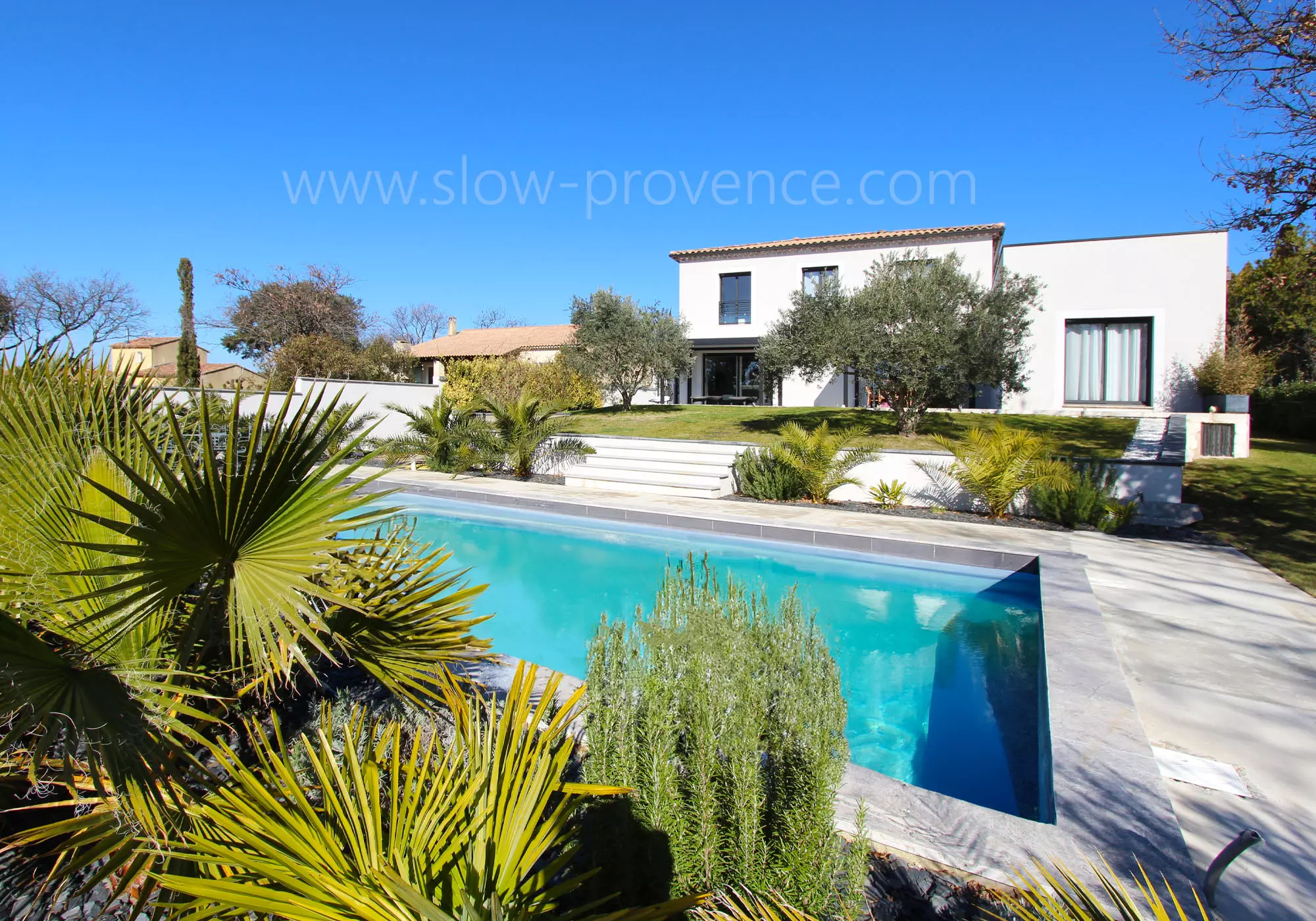 Large private pool surrounded by greenery