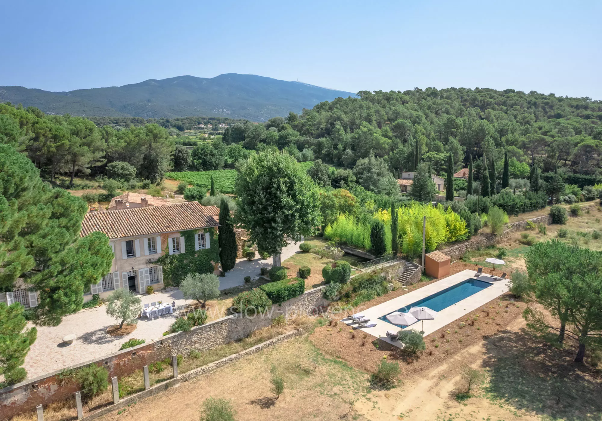 Country house situated amidst pine trees, olive trees, and vineyards