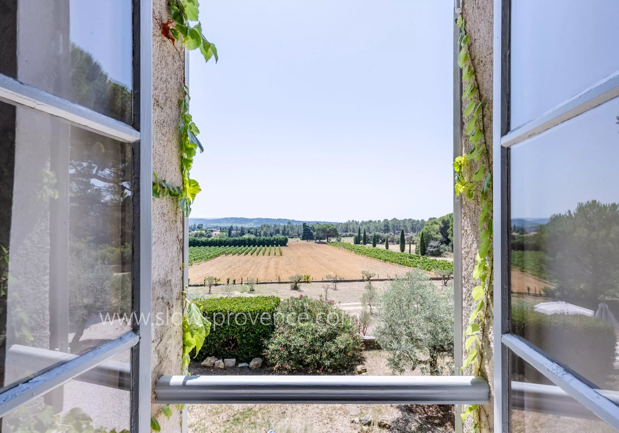 View onto the vineyard